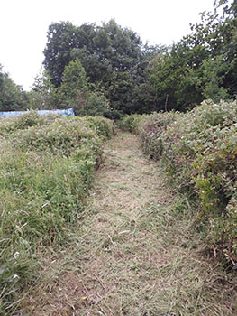 Footpath clearing