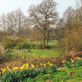 Linney's Bridge picnic area