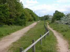 Lymm railway line