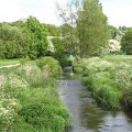 River Bollin at Macclesfield Riverside park